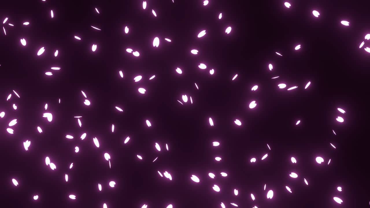 ピンク色に発光する桜の花びら
